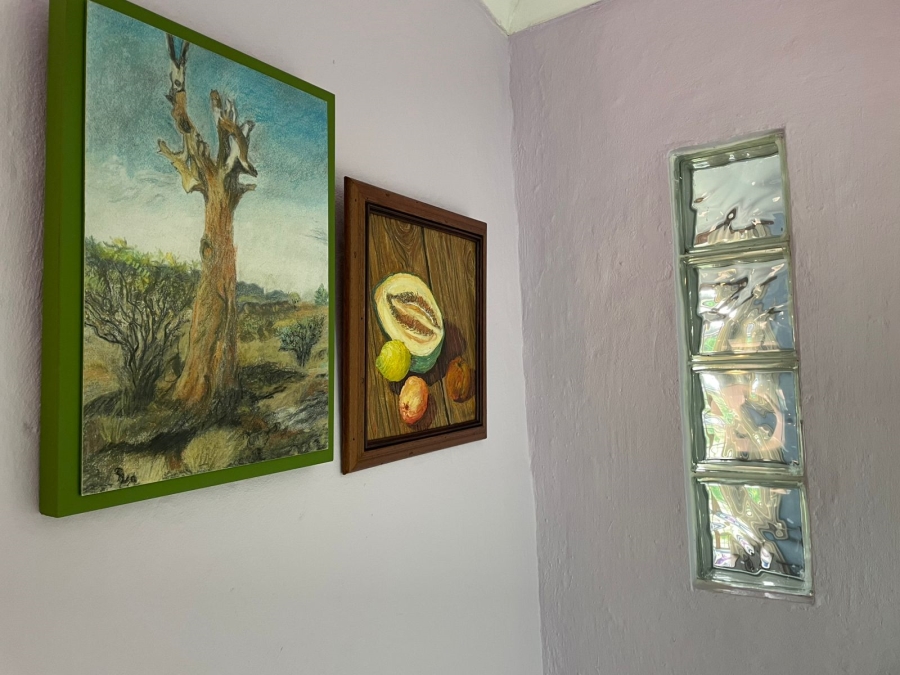 3 Bedroom Property for Sale in Bathurst Eastern Cape